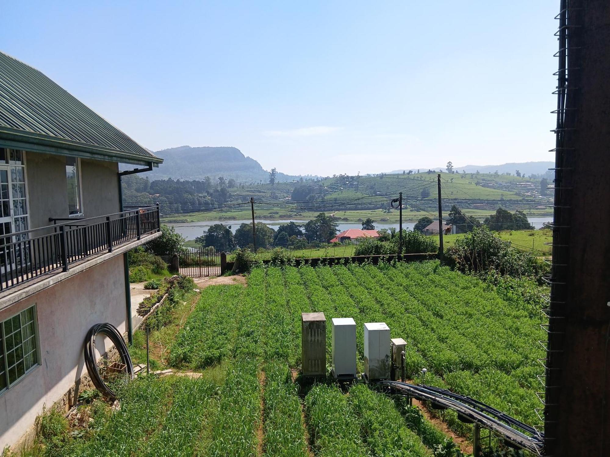 Hotel Terrabella - Nuwara Eliya Exteriér fotografie
